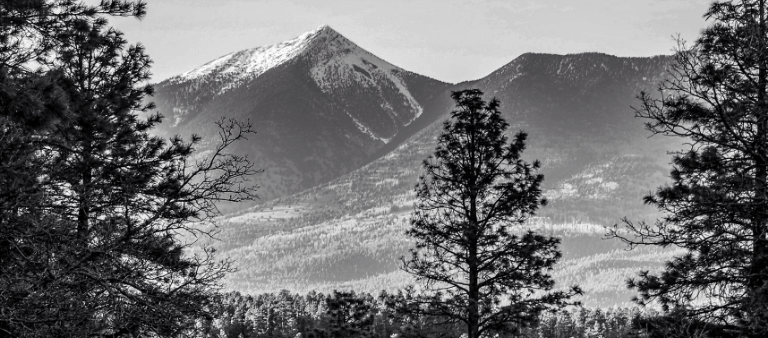 A Great View of Flagstaff Arizona