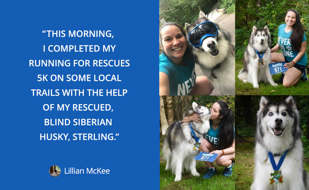 Lillian loves running with her dog: This morning, I completed my running for rescues 5k on some local trails with the help of my rescued, blind Siberian husky, Sterling. 
