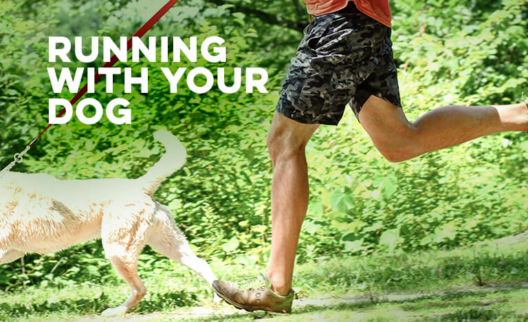 Running With Your Dog