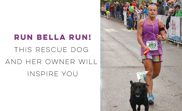 RUN BELLA RUN! This Rescue Dog and Her Owner Will Inspire You