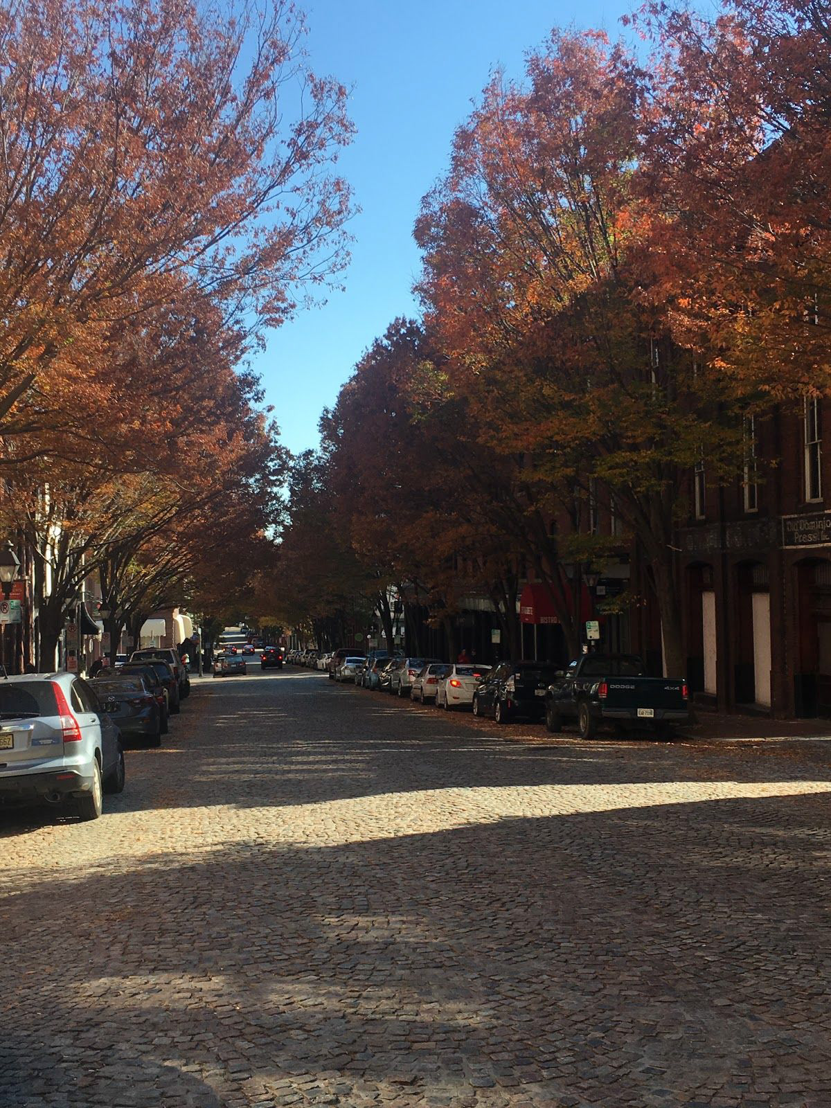 Fall colors in Richmond’s Shockoe Bottom