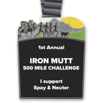 Virtual Race Medal Image