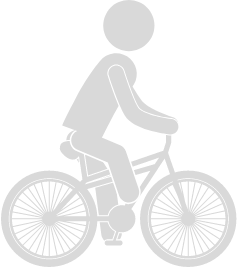 Bike Activity Icon
